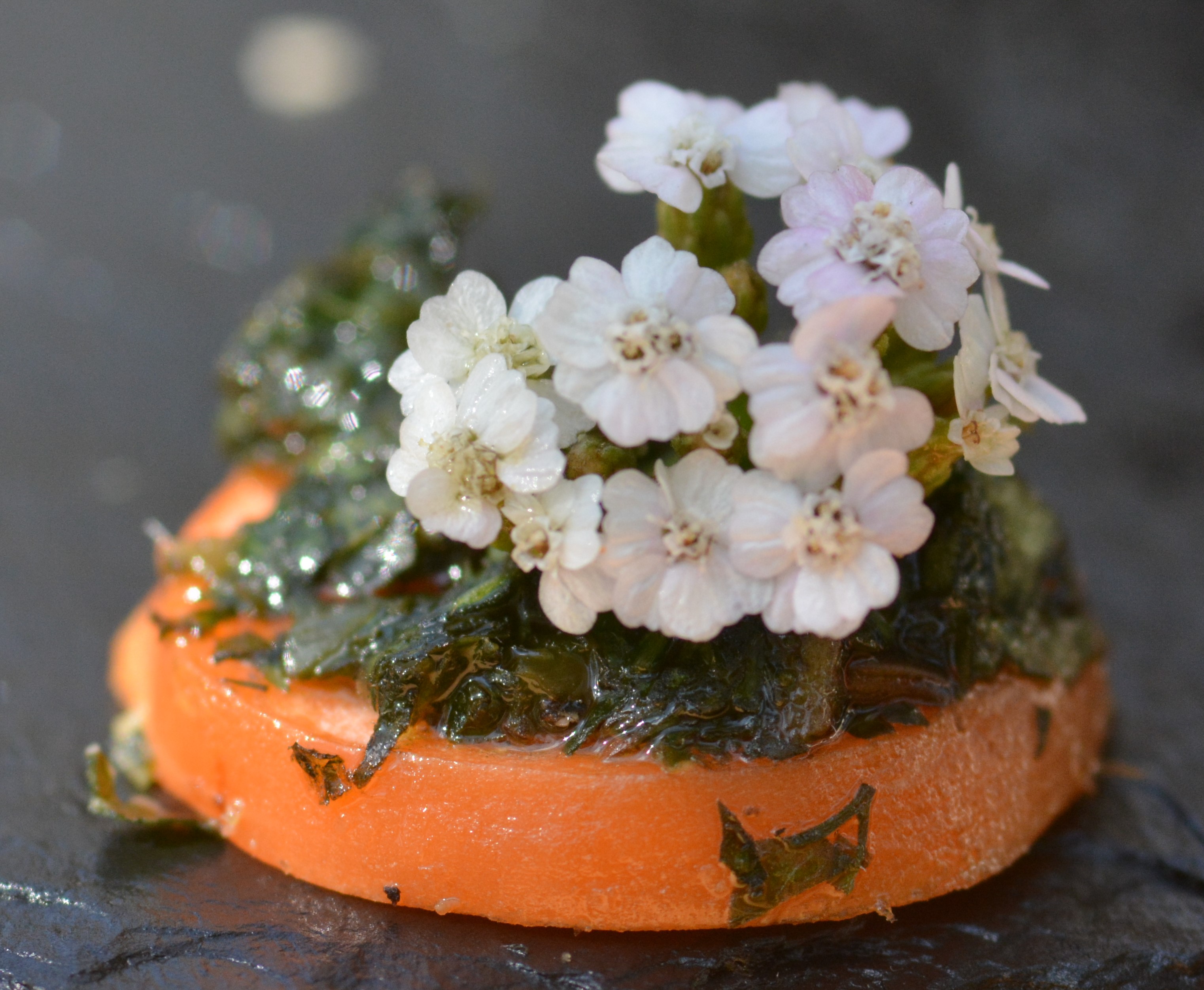 Table d'hôtes repas fleur bio nature alimentation vivante cru