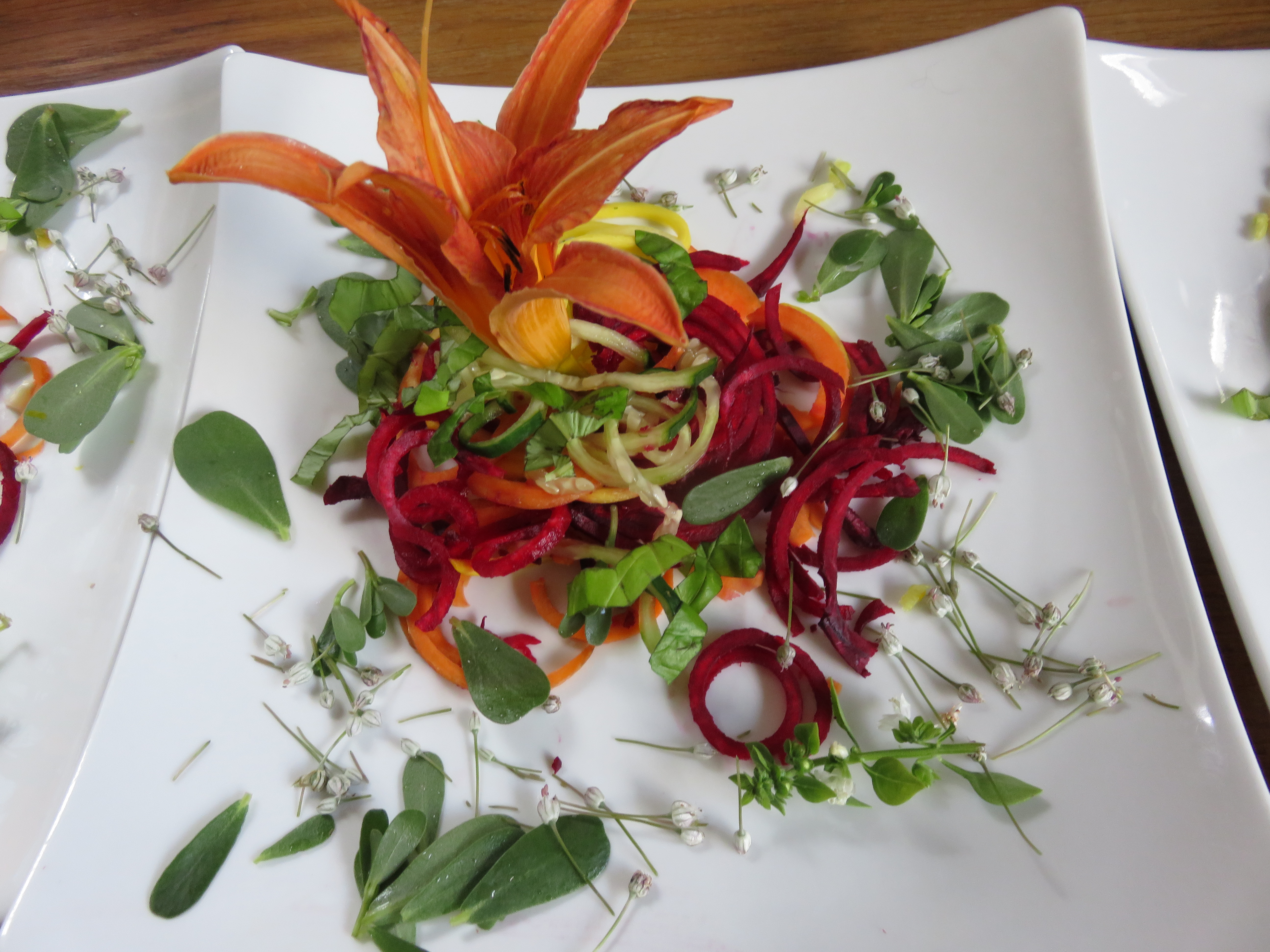 Table d'hôtes salade assiette colorée nature bio
