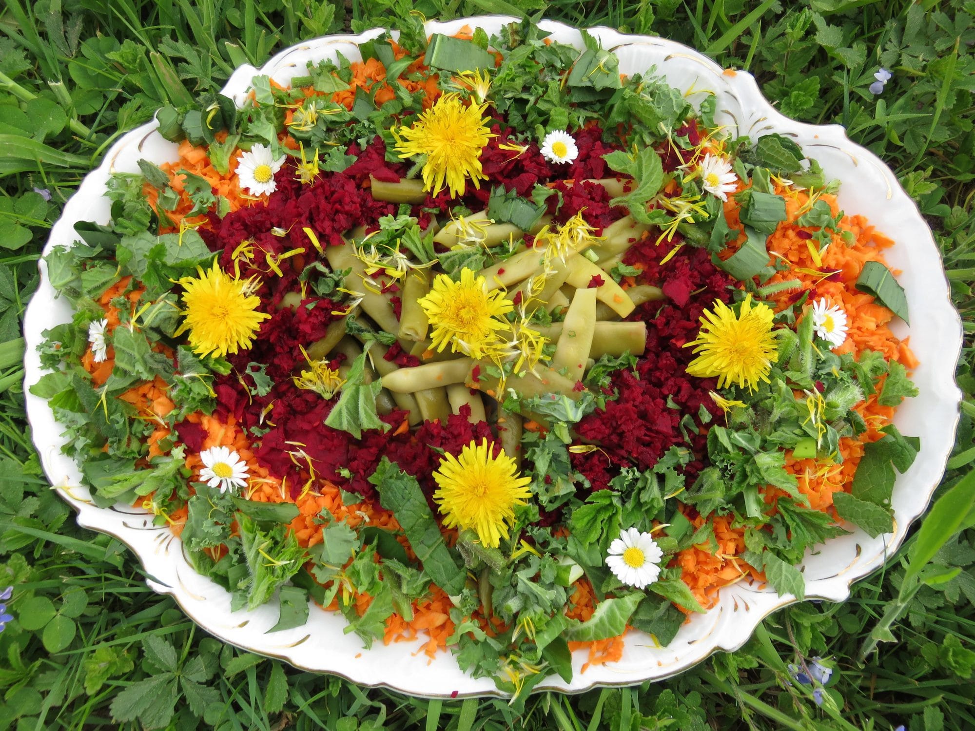 assiette séminaires salle repas bio