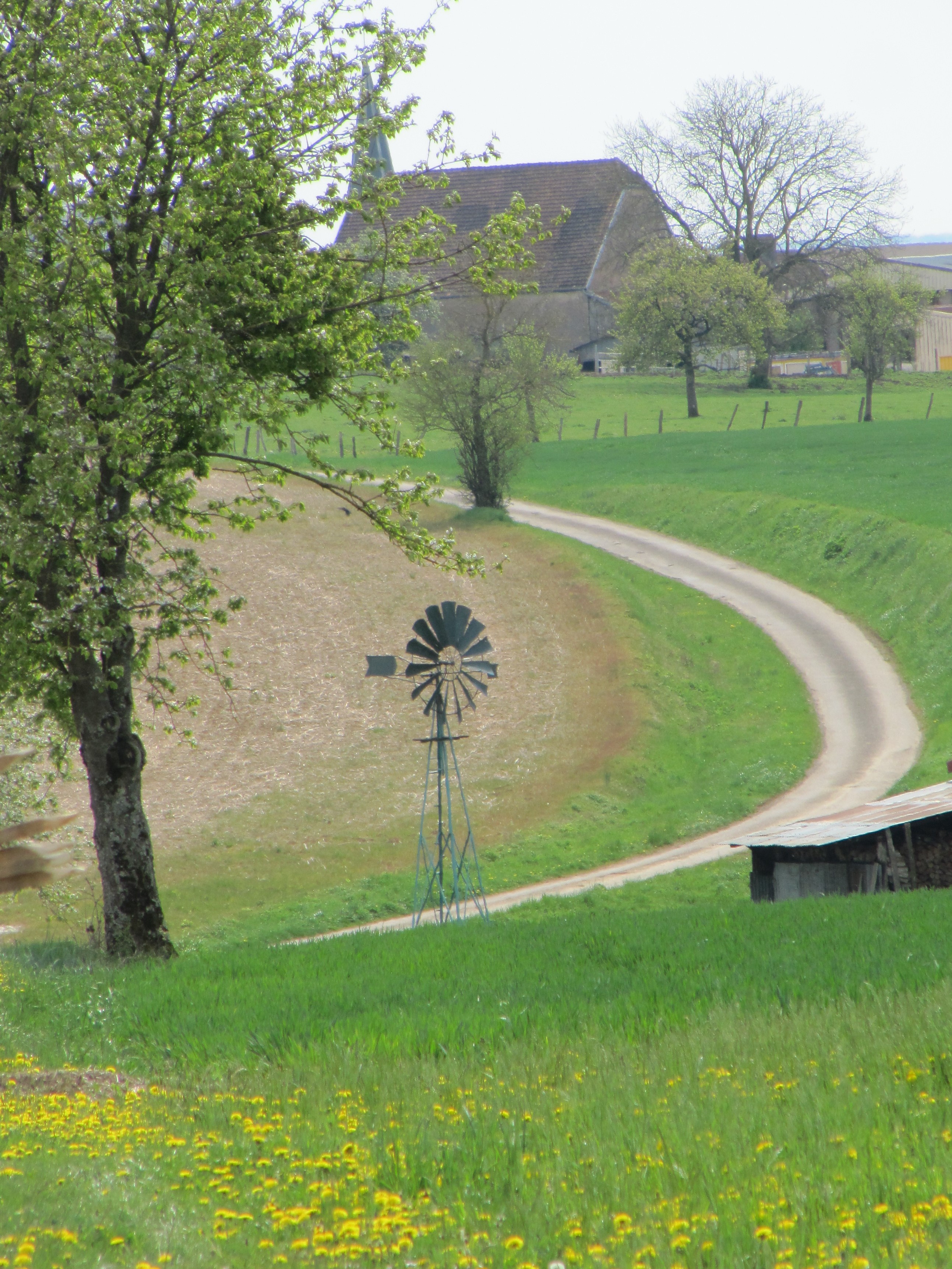 Rando bio randonnée Val de Saône chemin