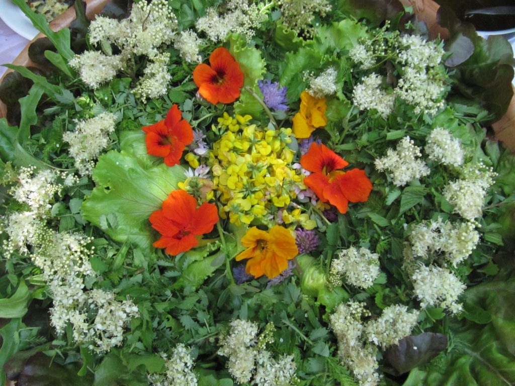 mandala fleurs à la recherche de sens